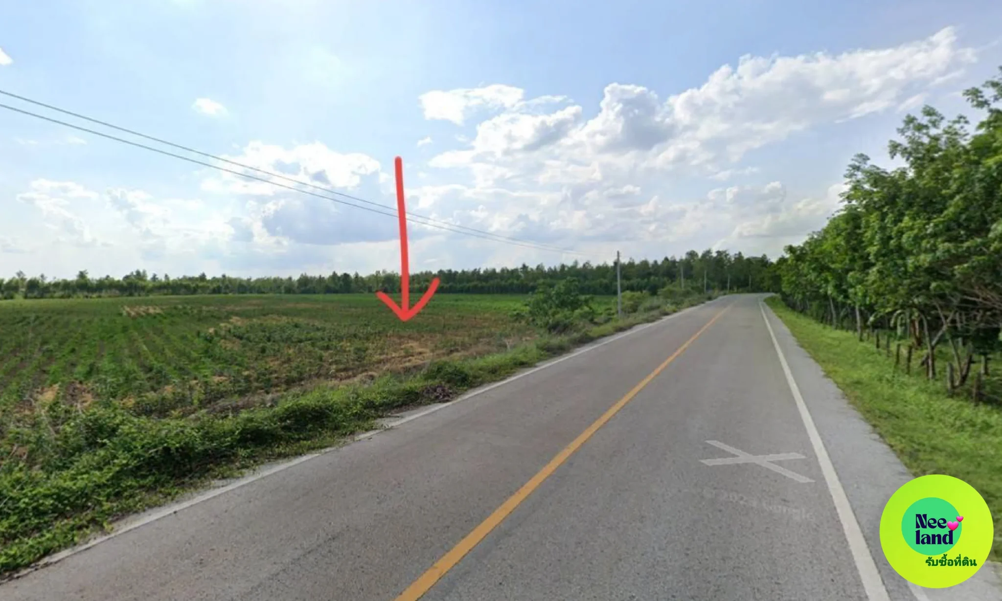 ขายที่ดินเปล่า วังยาง นครพนม