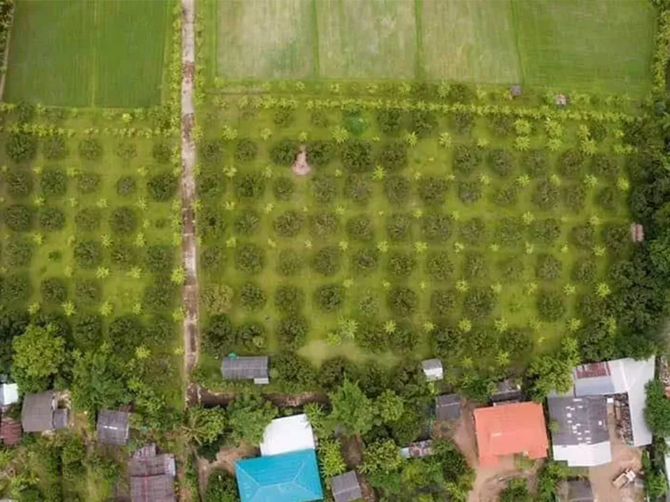 ตัวอย่างรูป copy 10_33