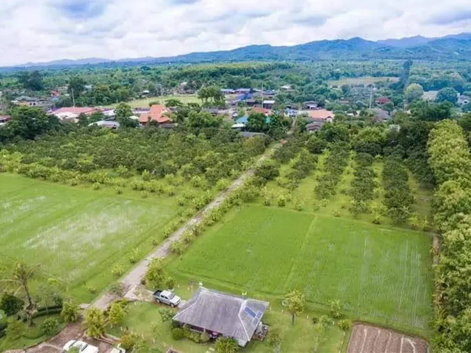 ตัวอย่างรูป copy 11_34