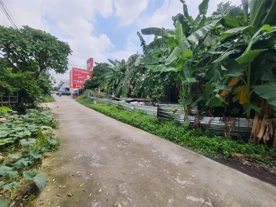 ตัวอย่างรูป copy 2_25