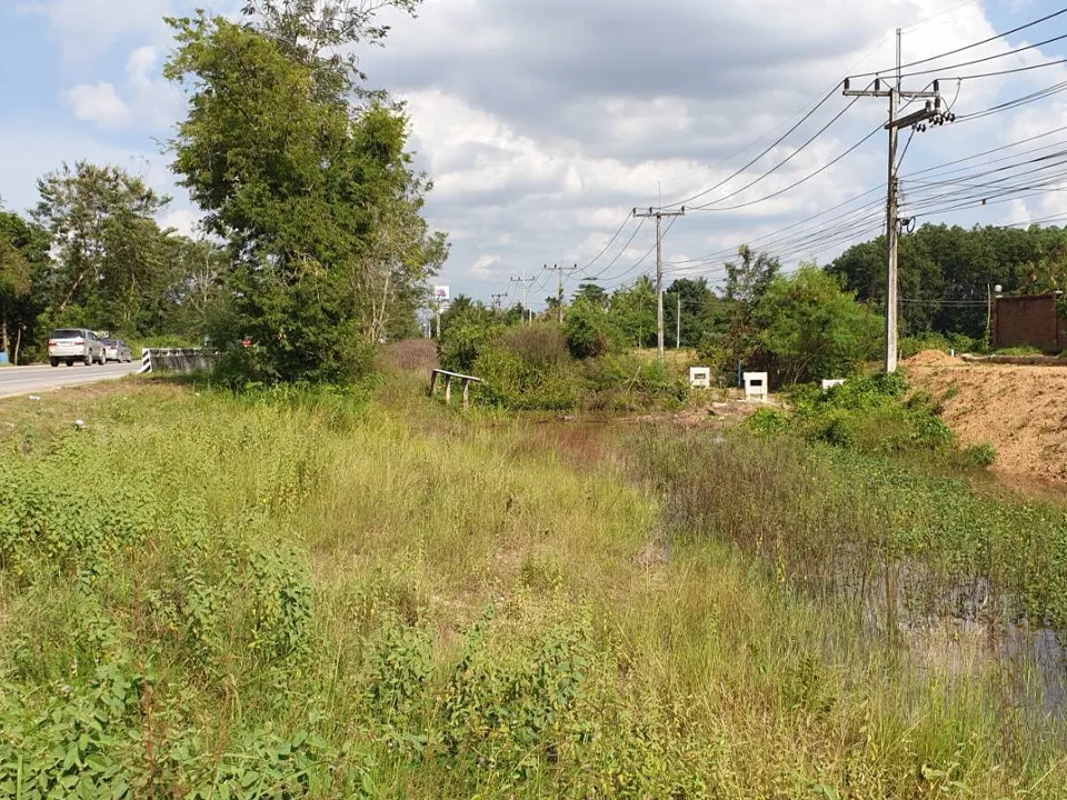 ตัวอย่างรูป copy 5_28