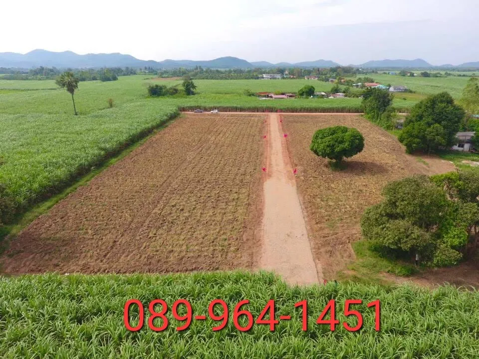 ตัวอย่างรูป_24